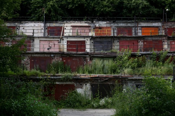 &laquo;Нам нужен парк в&nbsp;пойме Ельцовки от&nbsp;Красного проспекта до&nbsp;Ипподромской&raquo;
