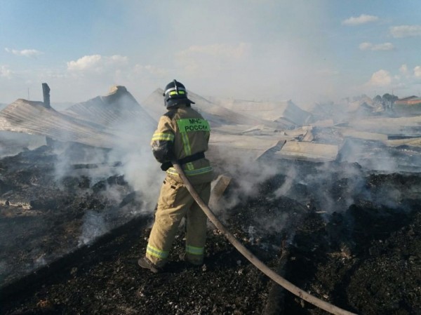 Дознаватели МЧС России устанавливают причину крупного пожара в Венгеровском районе