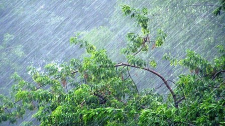 
Сильные дожди ожидаются в нескольких сибирских регионах
