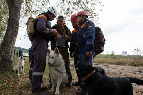 Пожарные МЧС России спасли семейную пару, которая заблудилась в лесу Мошковского района