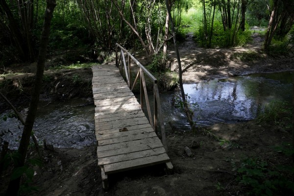 &laquo;Нам нужен парк в&nbsp;пойме Ельцовки от&nbsp;Красного проспекта до&nbsp;Ипподромской&raquo;