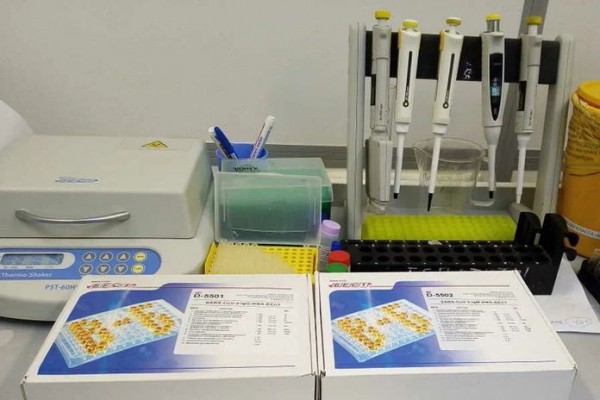 Уголовное дело по факту сбыта поддельных справок о ПЦР-тестах возбудили в Новосибирске Уголовное дело по факту сбыта поддельных справок о ПЦР-тестах возбудили в Новосибирске