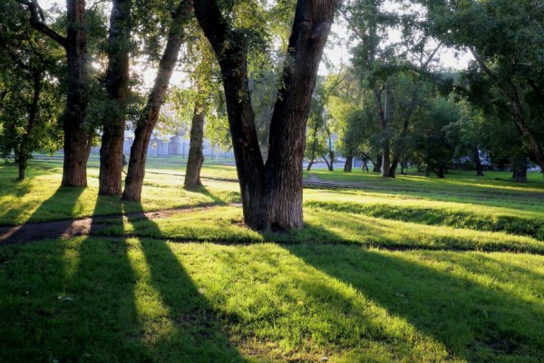В середине рабочей недели в Новосибирске ожидается похолодание