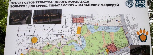 Площадь медвежатника увеличат в&nbsp;пять раз в&nbsp;Новосибирском зоопарке