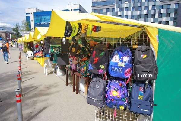 Хватит&nbsp;ли новосибирцам 10&nbsp;тысяч, чтобы собрать ребёнка в&nbsp;школу