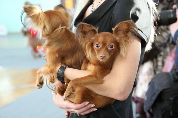 Афиша выходных: фестиваль &laquo;Сибирский огонь&raquo;, День археолога и&nbsp;ночь кино