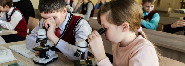 49&nbsp;школ Новосибирска начнут учебный год в&nbsp;смешанном формате