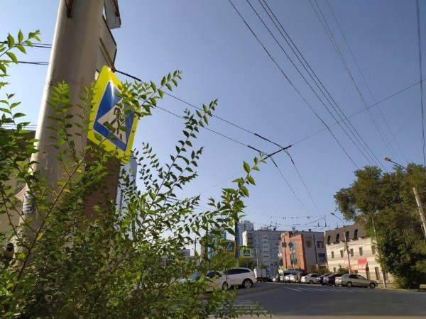 Половина пешеходных переходов возле учебных заведений Новосибирска не соответствует нацстандарту