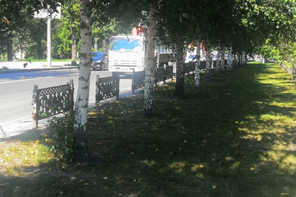 С&nbsp;Красного проспекта украли ещё полсотни чугунных заборов