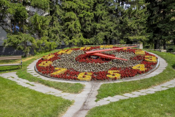 Вам цветы: где в&nbsp;Новосибирске самые красивые клумбы