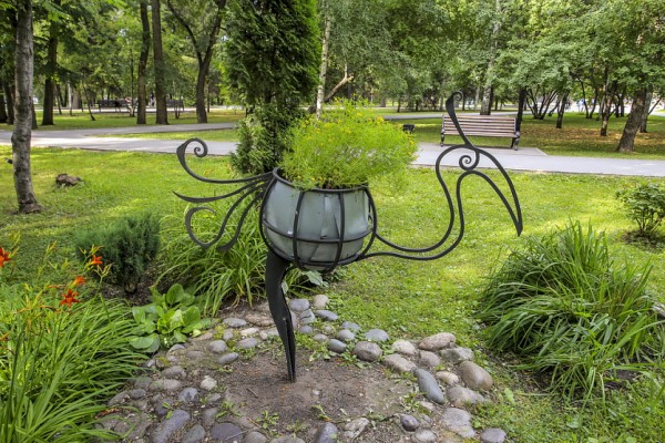 Вам цветы: где в&nbsp;Новосибирске самые красивые клумбы