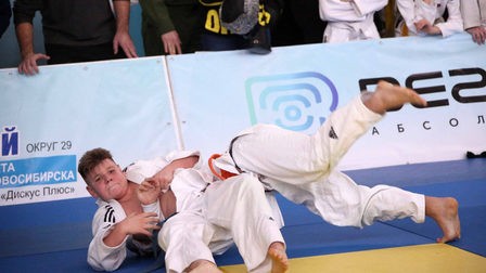 
Строительство новосибирского центра единоборств обойдется в 850 млн рублей
