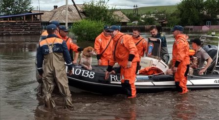 Утонули миллиарды
Утонули миллиарды