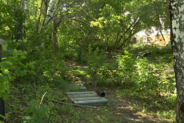 Парк, как нью-йоркский Хай-Лайн, появится в&nbsp;Академгородке