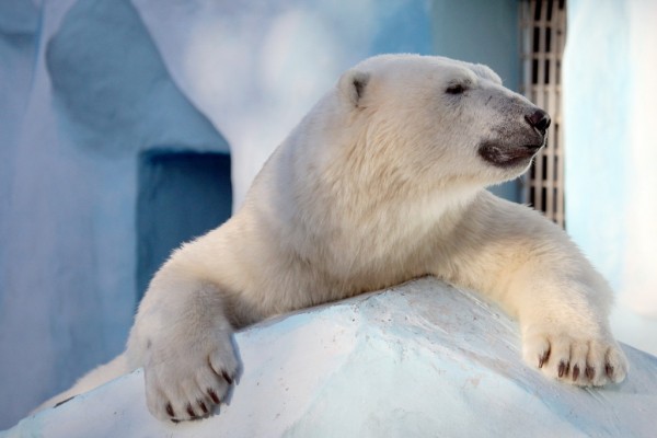 Афиша выходных: Шоу трансформеров, фестиваль ОКРАШЕНО и научпоп в кино Афиша выходных: Шоу трансформеров, фестиваль ОКРАШЕНО и научпоп в кино