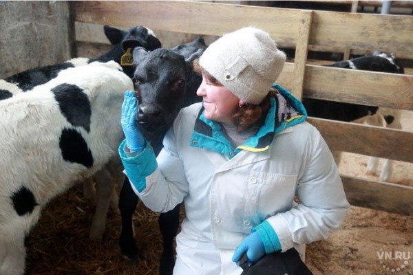 Сельхозперепись-2021 стартовала в Новосибирской области Сельхозперепись-2021 стартовала в Новосибирской области