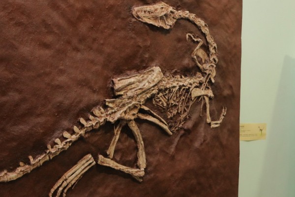 Афиша выходных: фестиваль &laquo;Сибирский огонь&raquo;, День археолога и&nbsp;ночь кино