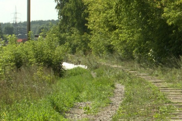Парк, как нью-йоркский Хай-Лайн, появится в&nbsp;Академгородке