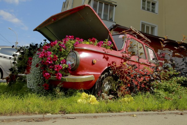 Вам цветы: где в&nbsp;Новосибирске самые красивые клумбы