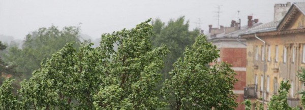 На&nbsp;Новосибирск обрушатся ливни, грозы, град и&nbsp;порывистый ветер