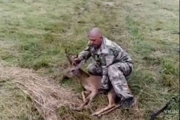 Сибирскую косулю на улице Станционной спас житель Новосибирска Сибирскую косулю на улице Станционной спас житель Новосибирска