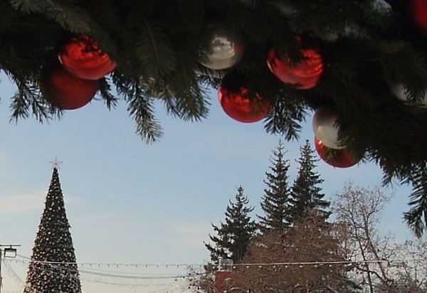 Новосибирский суд вынес приговор полицейскому за взятку новогодней елкой