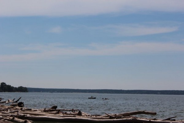 Прокуратура через суд оспаривает передачу части Новосибирского водохранилища в частные руки Прокуратура через суд оспаривает передачу части Новосибирского водохранилища в частные руки