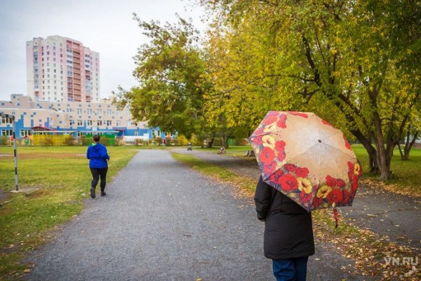 Потепление до плюс 11 вернется в Новосибирск на один день