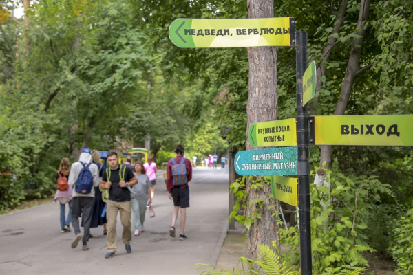 Для медведей в&nbsp;Новосибирском зоопарке строят вольеры с&nbsp;бассейном