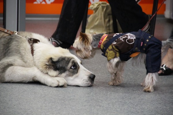 Афиша выходных: &laquo;Варежка&raquo;, вафли на&nbsp;огне и&nbsp;тихая дискотека