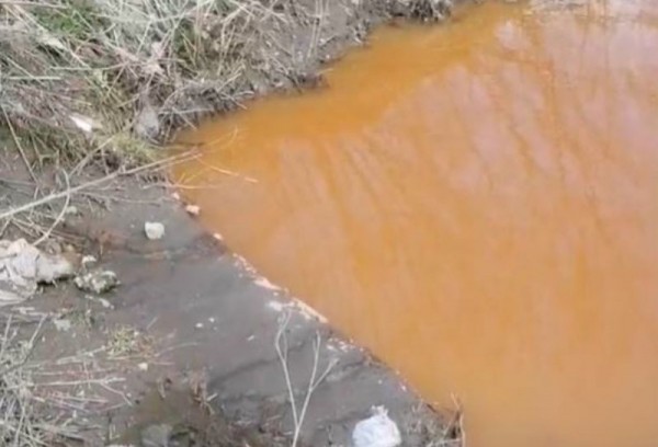 В суд поступило дело о загрязнении авиастроителями реки Каменка в Новосибирске