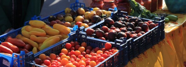 Чем удивляют жителей Новосибирска сельхозярмарки этой осенью