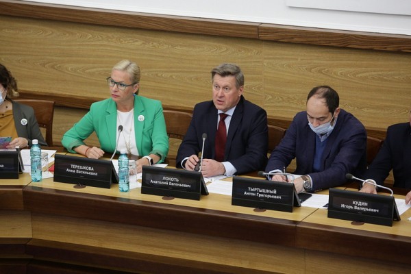 Зелёный каркас: в&nbsp;Новосибирске восстановят фауну и&nbsp;флору малых рек