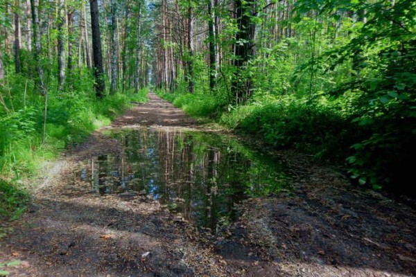 Пропавшая в Сибири туристическая группа из девяти человек вышла на связь спустя неделю Пропавшая в Сибири туристическая группа из девяти человек вышла на связь спустя неделю