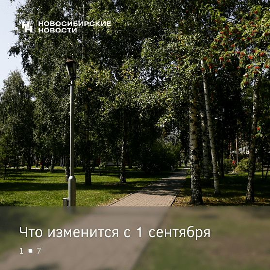 Что хорошего появилось в&nbsp;России 1&nbsp;сентября, кроме гаражной амнистии