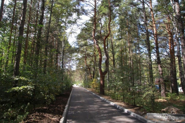 Реконструкцию Заельцовского парка в Новосибирске завершат раньше намеченного срока