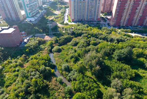 Что будет с городскими реками в Новосибирске? - Континент Сибирь Online