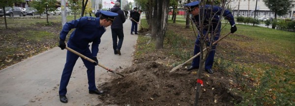 Сотрудники прокуратуры высадили липы в сквере за оперным театром Сотрудники прокуратуры высадили липы в сквере за оперным театром