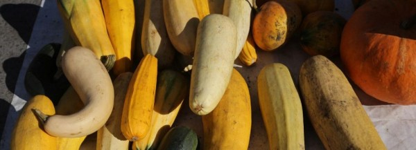 Время закапывать ботву: что делать с&nbsp;грядками после сбора урожая