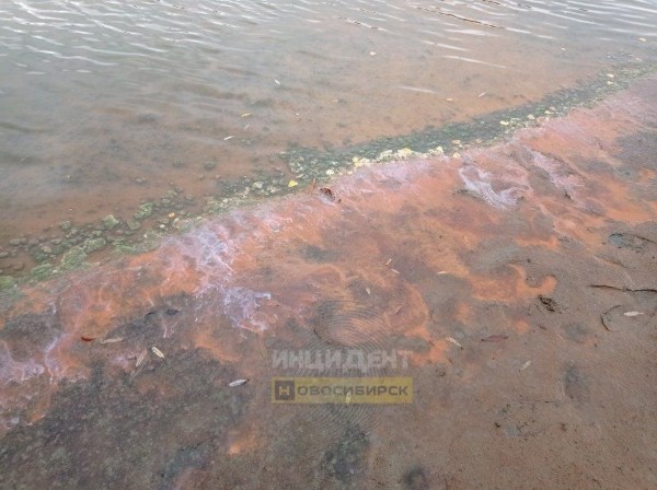 Пленка с запахом мазута появилась в протоке Оби под Новосибирском