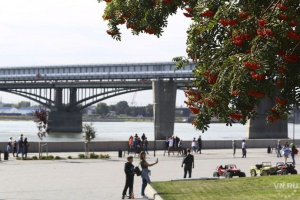 Новосибирск вторит Шуфутинскому: костры рябин созрели к 3 сентября Новосибирск вторит Шуфутинскому: костры рябин созрели к 3 сентября