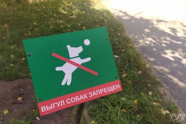 Служба-112 стала принимать звонки о бродячих собаках в Новосибирской области