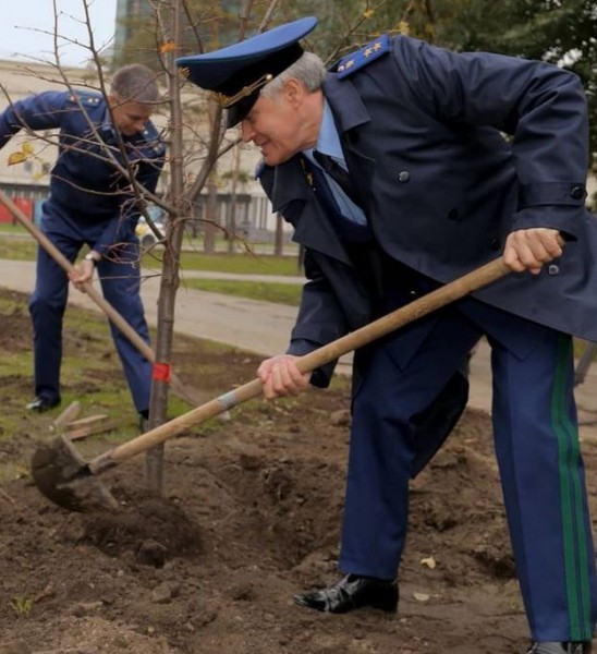 Работники прокуратуры Новосибирской области высадили саженцы лип в сквере возле Оперного театра - Континент Сибирь Online