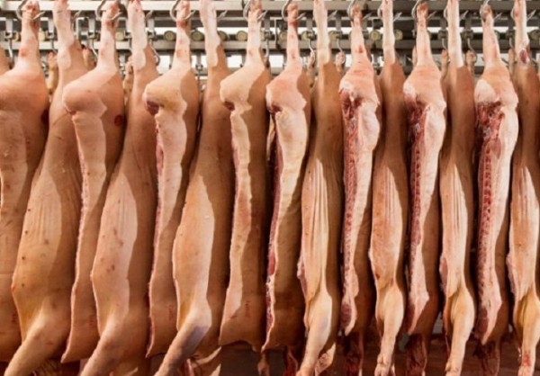 «Сибагро» приобрело активы курского свинокомплекса «Щигры главпродукт» «Сибагро» приобрело активы курского свинокомплекса «Щигры главпродукт»