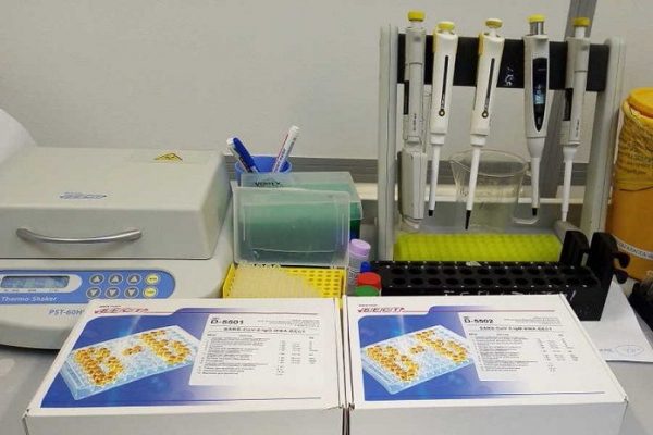 Полицейские задержали пособника в сбыте поддельной справки о ПЦР-тесте в Новосибирске