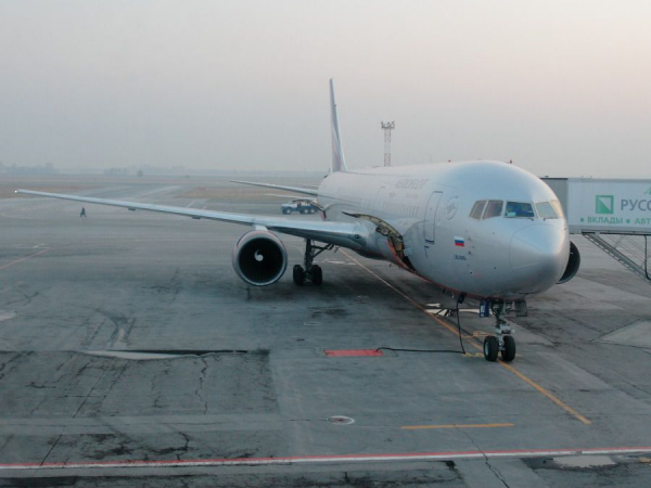 Реальный срок и штраф получили авиадебоширы из Новосибирска