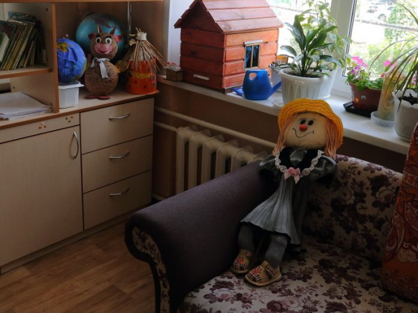 В Новосибирской области трехлетний ребенок стал должником по налогам