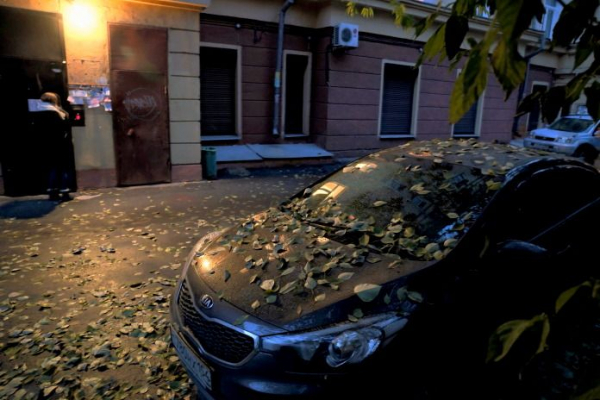 Новосибирцев ожидает тёплое начало недели