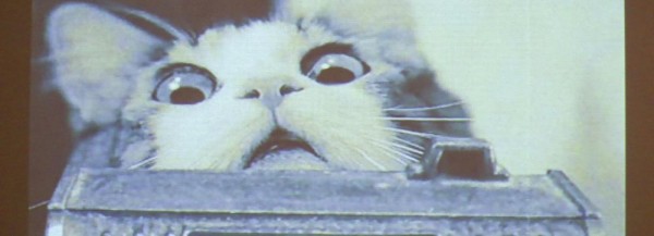 Эпатажный сибирский китч показывают в&nbsp;центре культуры ЦК19