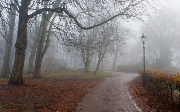 Специалисты МЧС России рассказали об основных угрозах межсезонья